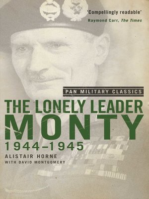 cover image of Lonely Leader